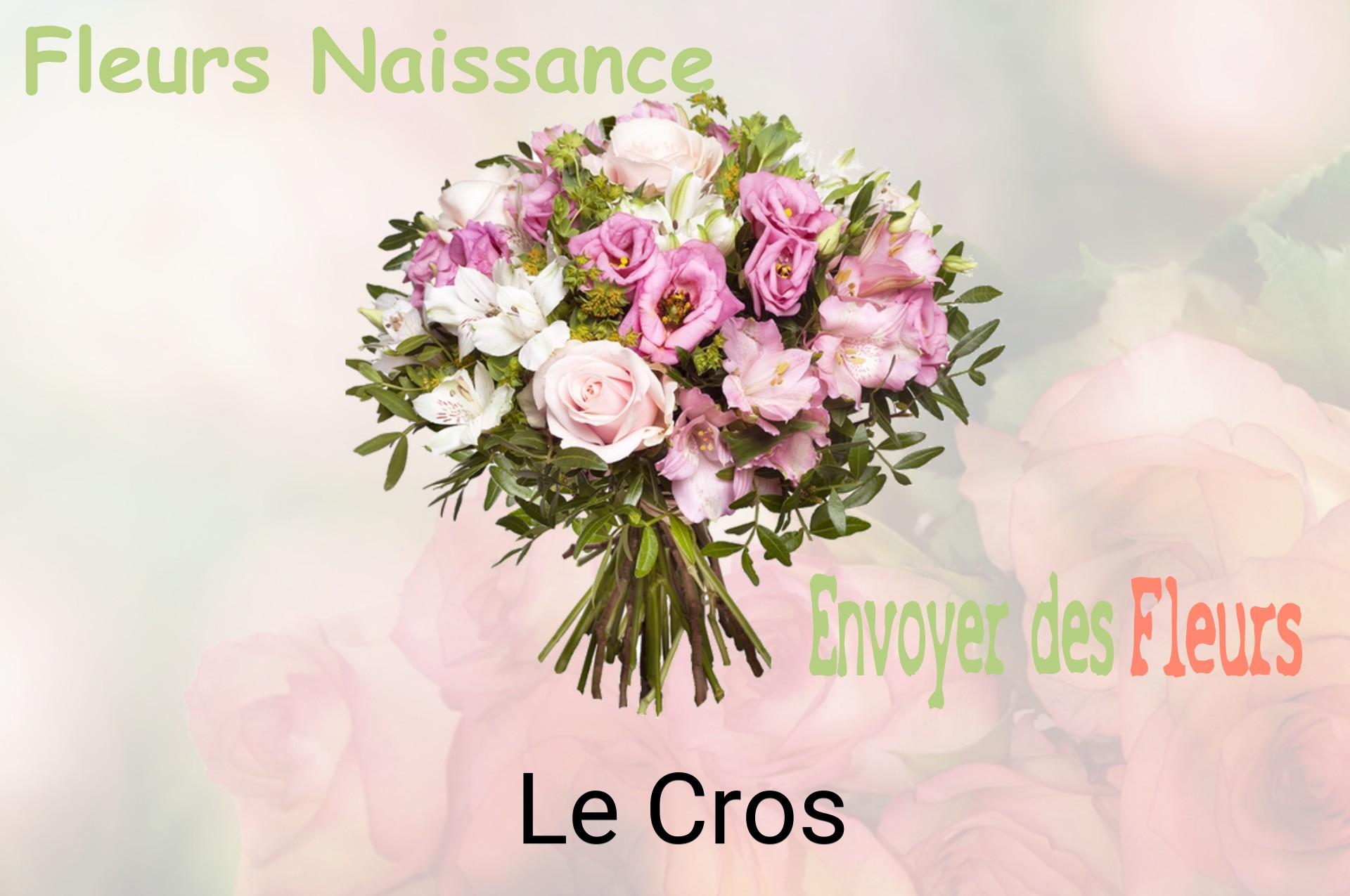 Bouquet de fleurs de naissance livré à Le Cros
