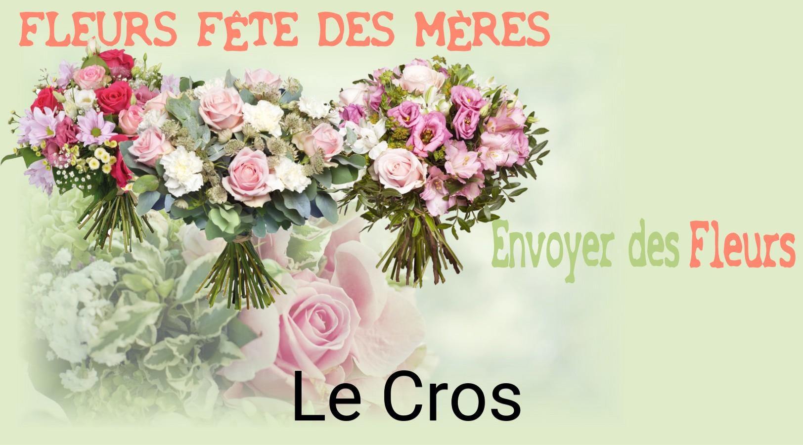 Bouquet de Fête des Mères livré à Le Cros